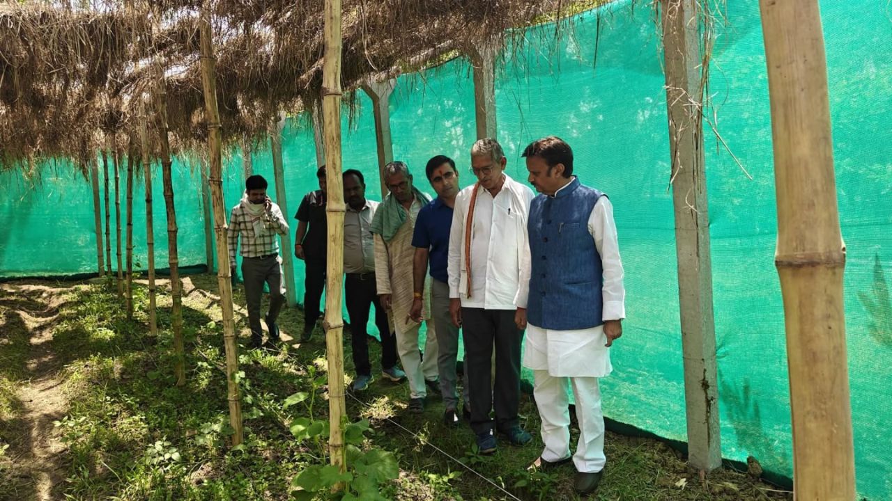 केमिकल फ्री खेती में क्रांति ला रहीं 2000 गौशालाएं, अब बिजली भी पैदा करेंगी!