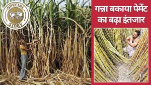 गन्ना किसानों का 12 हजार करोड़ रुपये सरकार पर बकाया, किसान बोले- भुगतान के दावे फेल गन्ना किसानों का 12 हजार करोड़ रुपये सरकार पर बकाया, किसान बोले- भुगतान के दावे फेल