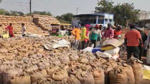 धान खरीद में बड़ा घोटाला पकड़ा, दो समितियों के गोदाम से गायब हो गया 1700 क्विंटल धान