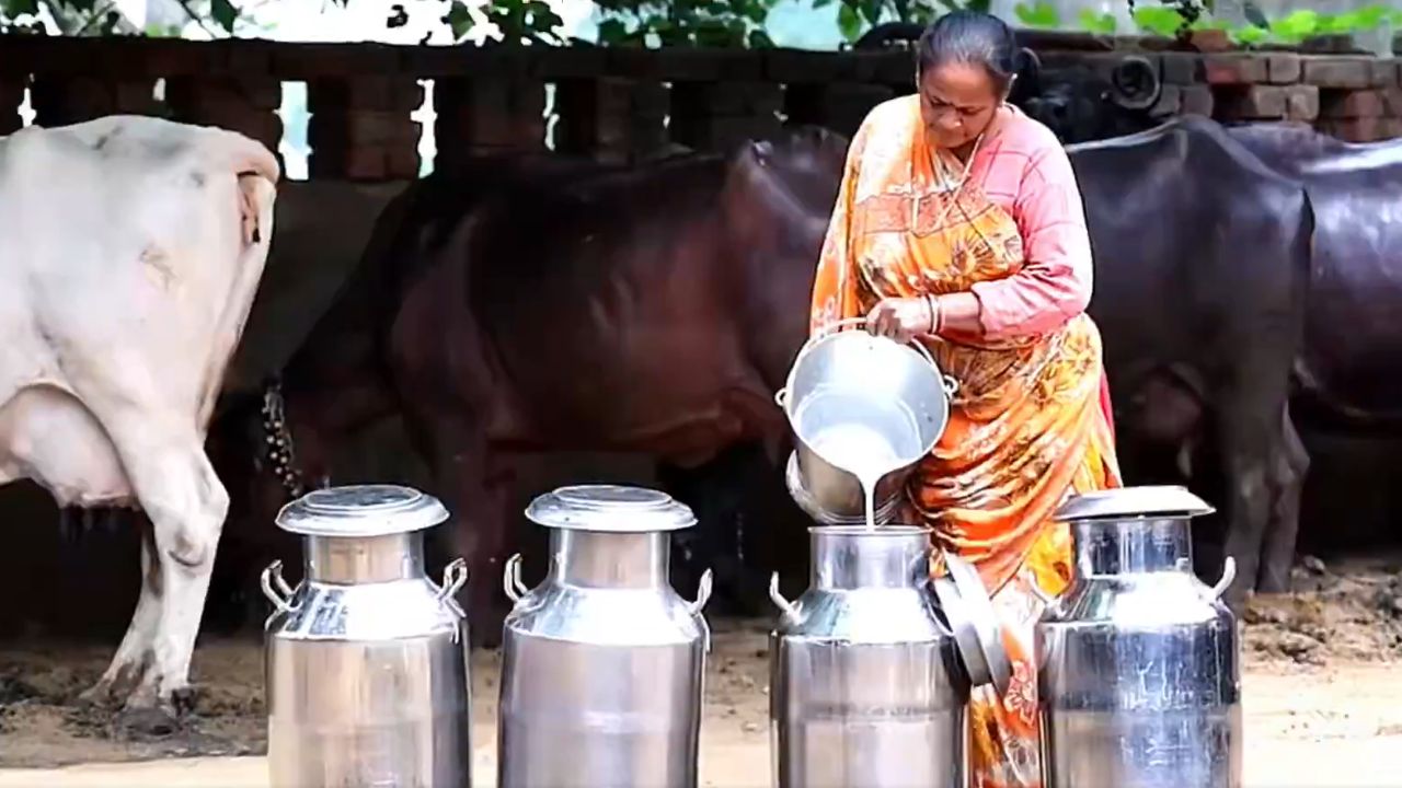 किसानों से 2.5 लाख लीटर दूध रोज खरीदेगी मधुर डेयरी, 128 करोड़ की लागत वाली डेयरी शुरू