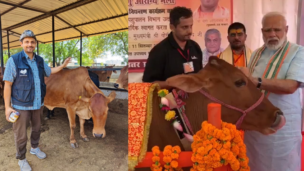 देसी गायों के उत्पादों का अमेरिका समेत 10 देशों में डंका, असीम रावत ने बनाया 10 करोड़ का एथिकल डेयरी मॉडल