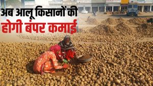 UP में MSP पर आलू की सरकारी खरीद शुरू, इतने रुपये क्विंटल किसानों को मिल रहा भाव
