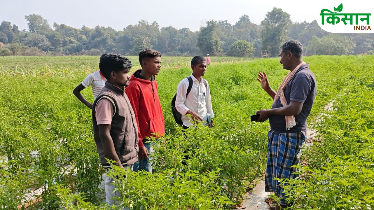 नक्सल इलाके में किसान की किस्मत बदली, आधुनिक खेती से कमाए लाखों रुपये, गांव में बने मिसाल