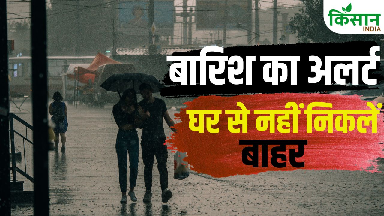 दिल्ली- एनसीआर सहित इन राज्यों में भारी बारिश का अलर्ट, दिखेगा मौसम का कहर