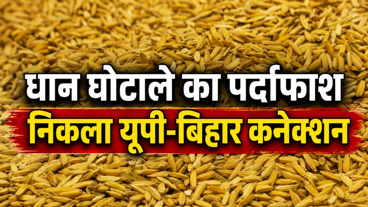 करनाल धान घोटाले में बड़ा खुलासा, इस तरह हुआ फर्जीवाड़ा का खेल.. 5 अधिकारी बर्खास्त