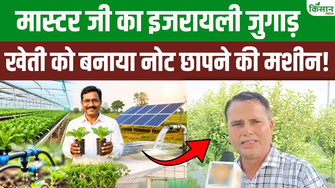 बिहार के शिक्षक ने खोला कम जमीन में ज्यादा कमाई का फार्मूला, किसान भी देखकर रह गए हैरान