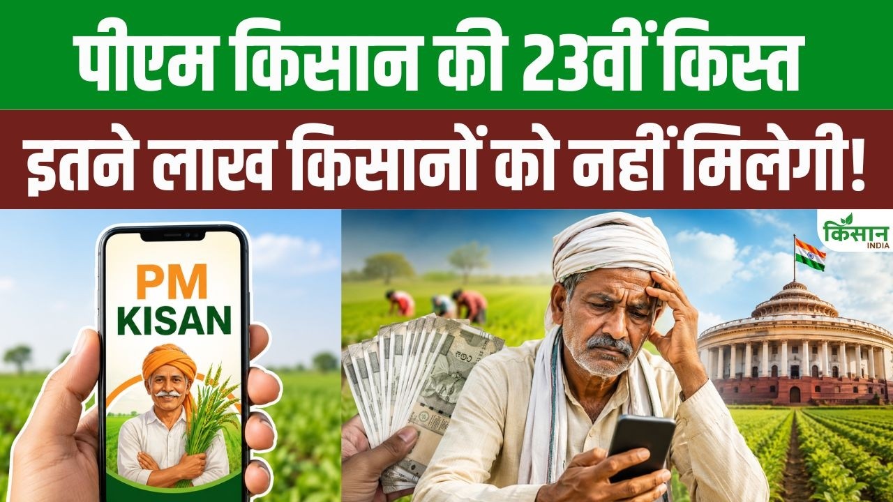 फार्मर रजिस्ट्री और दस्तावेज गलती से रुकी सकती है PM Kisan किस्त, जानिए सुधार का आसान तरीका