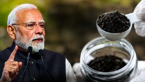 PM मोदी की नई खाद नीति के बीच किसानों के लिए बड़ी सलाह! मिट्टी जांच के बिना खाद डालना पड़ सकता है भारी PM मोदी की नई खाद नीति के बीच किसानों के लिए बड़ी सलाह! मिट्टी जांच के बिना खाद डालना पड़ सकता है भारी