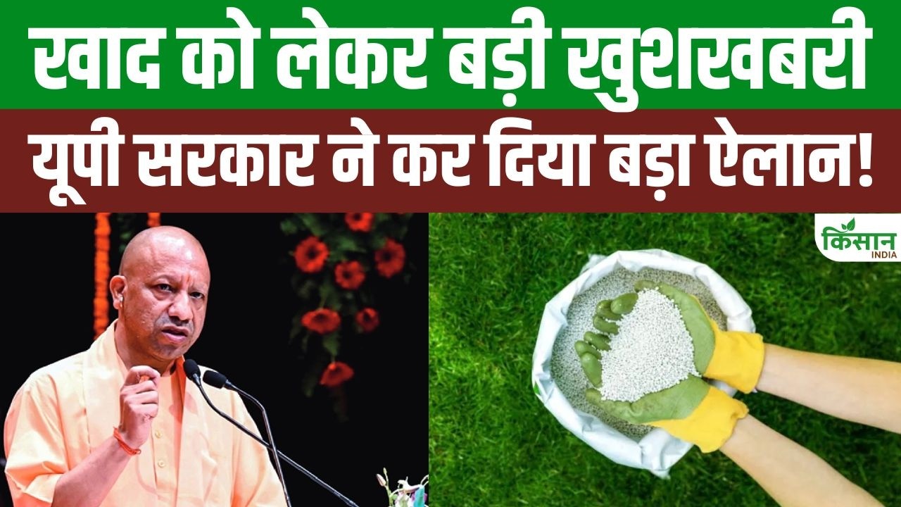 खाद को लेकर यूपी सरकार का बड़ा फैसला, अब हजारों किसानों को मिलेगा सीधा फायदा और राहत साथ में