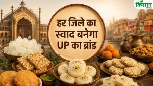 UP News: ‘एक जिला एक व्यंजन’ को हरी झंडी, अब हर जिले का खास स्वाद बनेगा यूपी की नई पहचान