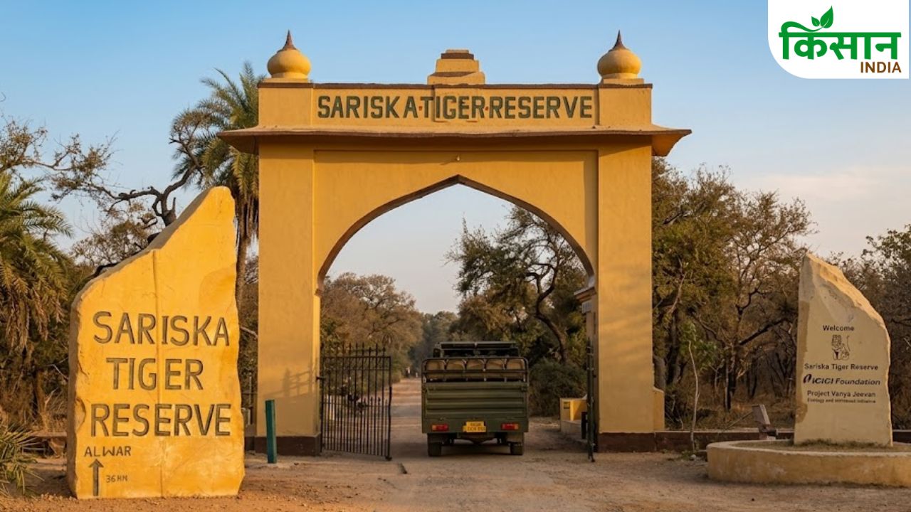 20 हजार पशुओं के लिए 7 हजार हेक्टेयर जमीन का अधिग्रहण, वन्यजीवों को मिलेगा सुरक्षित आवास