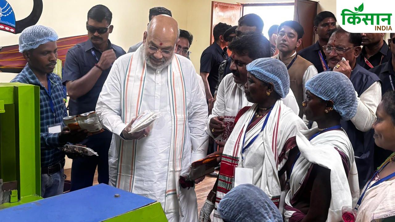 बस्तर में अमित शाह ने चखी मीठी इमली, गांवों में विकास देखकर बोले- अब बदल चुका है दौर