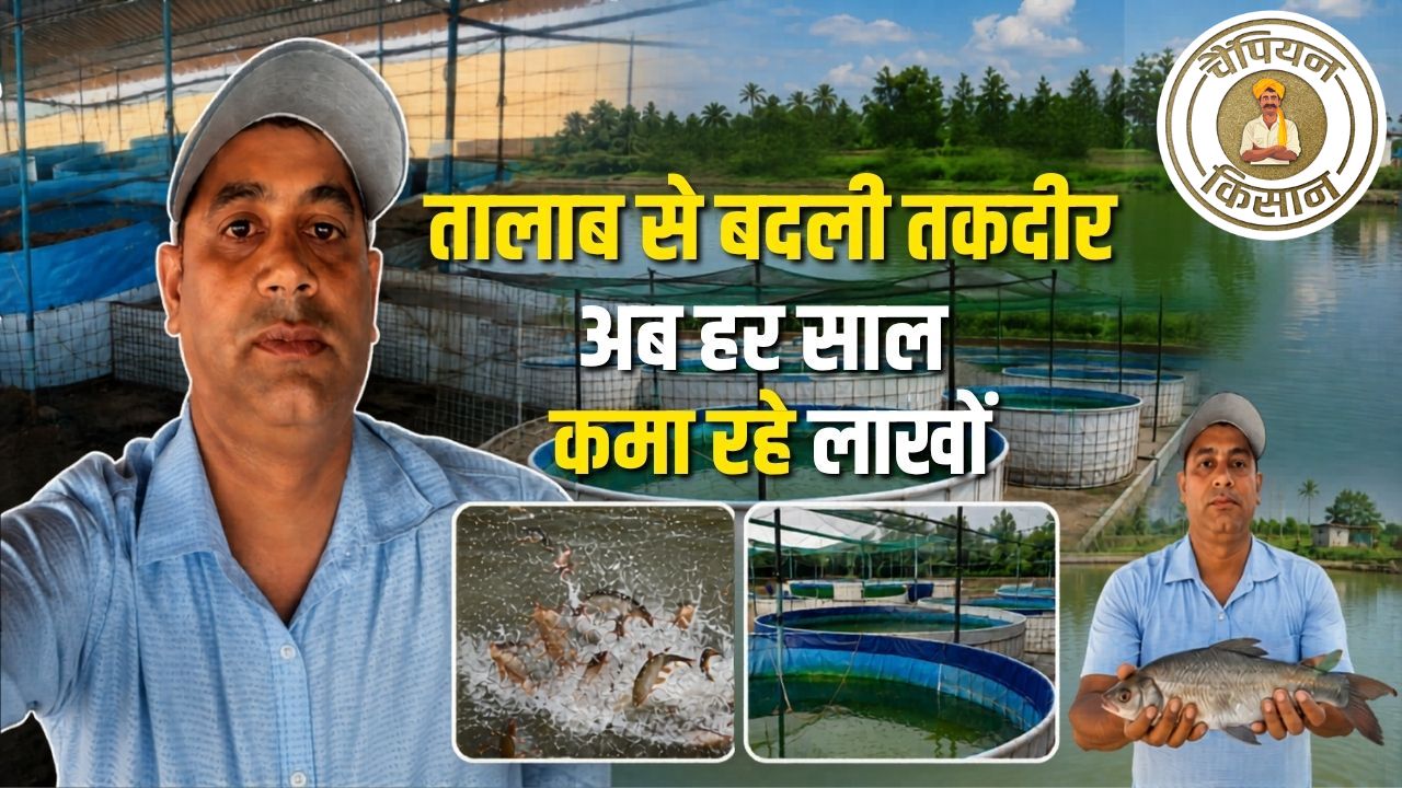 PMMSY योजना से युवक की बदली किस्मत, अब सालाना कमा रहे 13 लाख का शुद्ध मुनाफा
