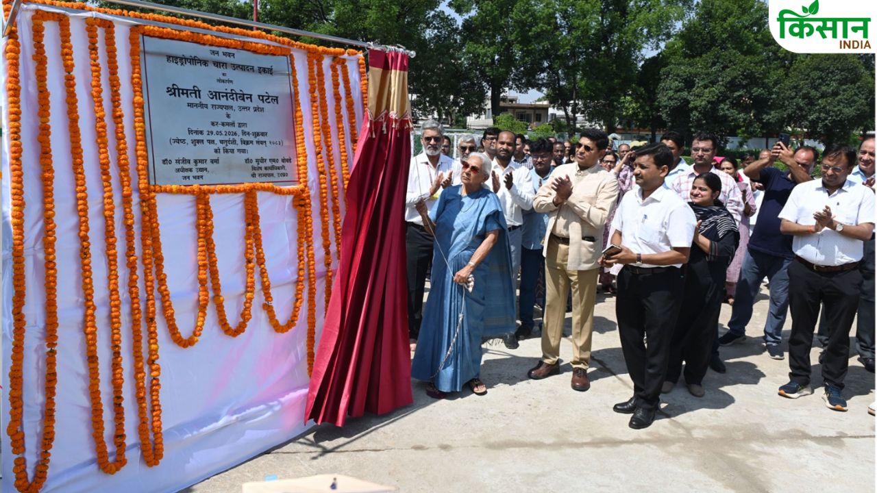 सिर्फ 8 दिनों में तैयार होगा पौष्टिक हरा चारा, राज्यपाल ने शुरू की आधुनिक हाइड्रोपोनिक यूनिट