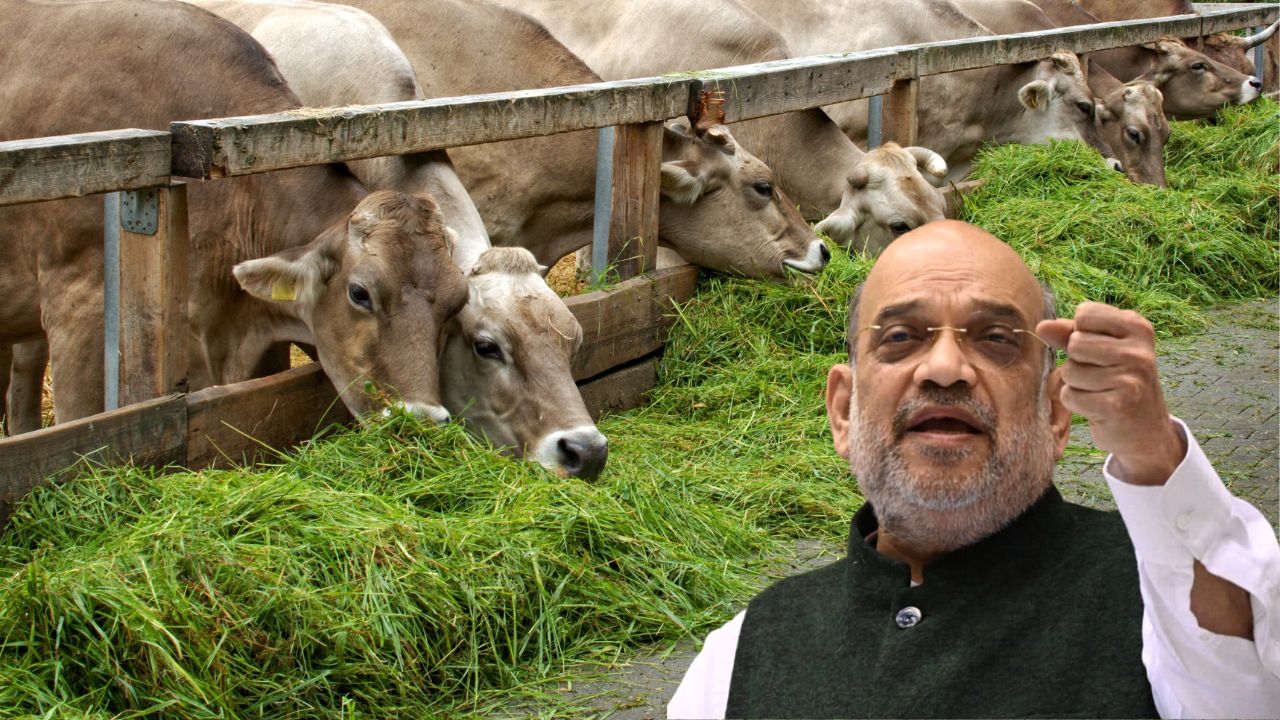 63 फीसदी बढ़ा दूध उत्पादन, अब श्वेत क्रांति 2.0 की बारी! किसानों के लिए खुलेंगे कमाई के नए रास्ते