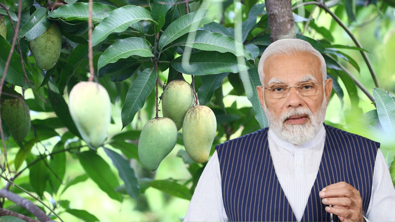 मन की बात में आम किसानों को मिला बड़ा सम्मान, पीएम मोदी बोले- आप देश की ताकत हैं