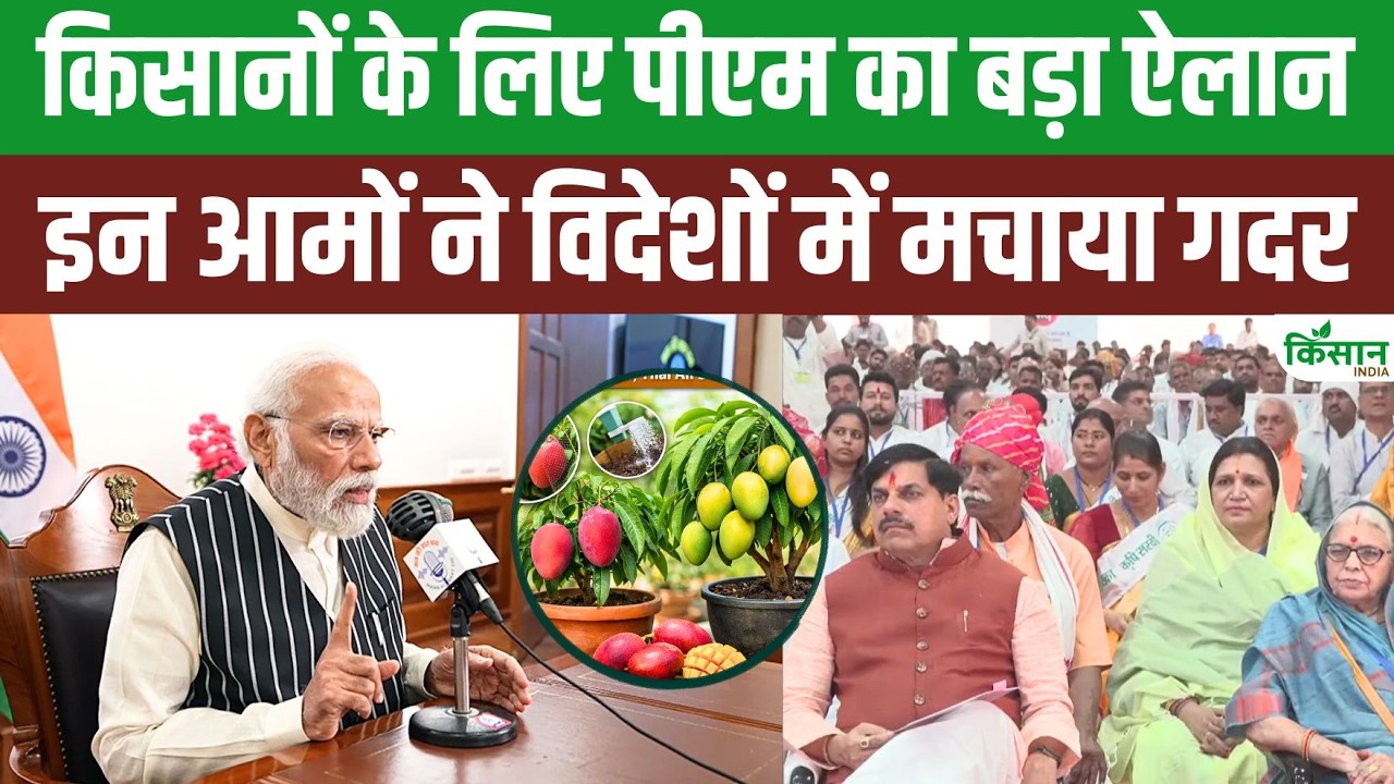 विदेशी बाजारों में भारतीय आमों का तहलका Man Ki Baat में PM Modi ने किसानों को बधाई दी