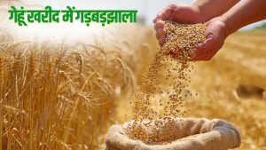 पंजाब के 8 जिलों में लक्ष्य से ज्यादा गेहूं खरीदी, फर्जीवाड़े की आशंका.. जांच करेगी FCI की टीम पंजाब के 8 जिलों में लक्ष्य से ज्यादा गेहूं खरीदी, फर्जीवाड़े की आशंका.. जांच करेगी FCI की टीम