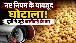 धान के बाद अब गेहूं घोटाला! CCTV फुटेज से खुलेगा राज.. अधिकारियों ने तेज की मामले की जांच धान के बाद अब गेहूं घोटाला! CCTV फुटेज से खुलेगा राज.. अधिकारियों ने तेज की मामले की जांच