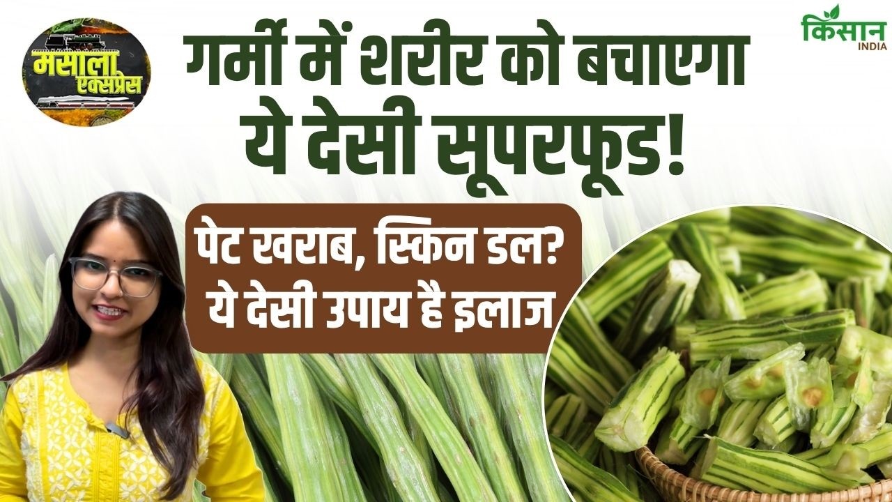 Benefits of Moringa: गर्मियों में शरीर को ठंडक और ताकत देता है सहजन, जानिए इसके आयुर्वेदिक फायदे और सही इस्तेमाल