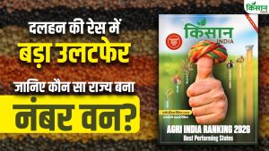 किस राज्य की दाल है देश में नंबर वन? टॉप-5 राज्यों की पूरी लिस्ट Top 5 States Ranking in Pulses किस राज्य की दाल है देश में नंबर वन? टॉप-5 राज्यों की पूरी लिस्ट Top 5 States Ranking in Pulses