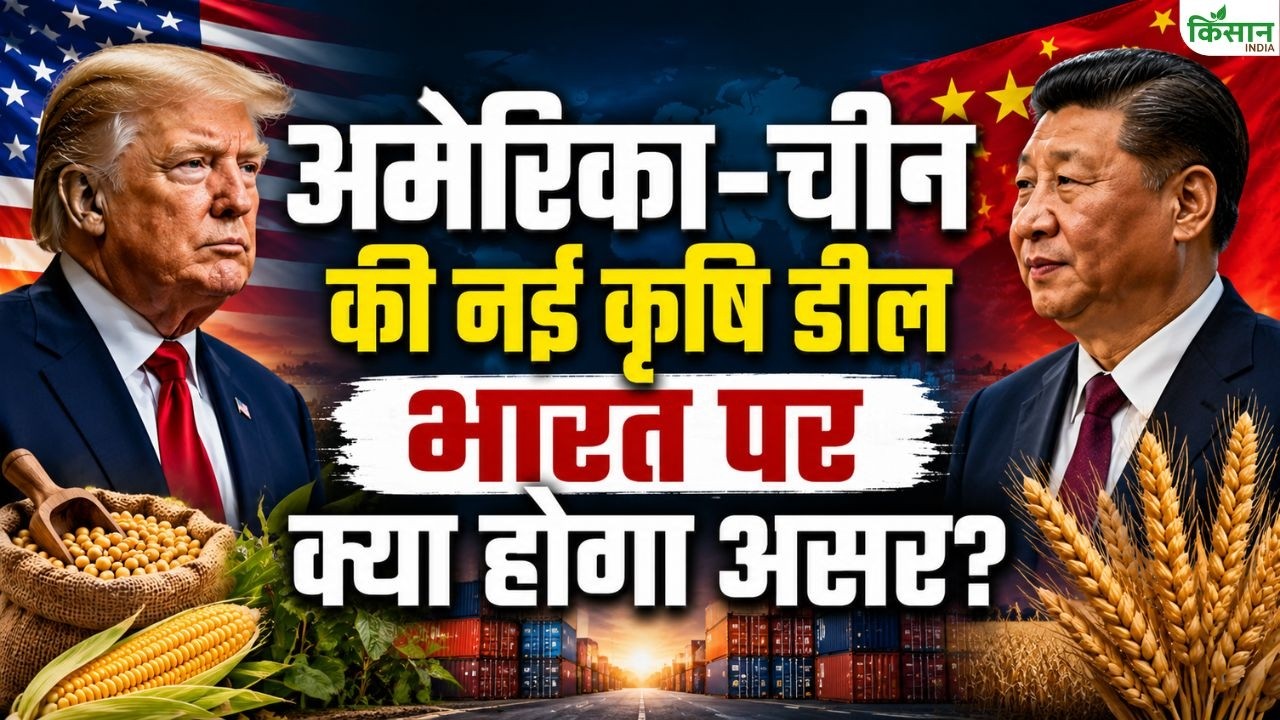 चीन और अमेरिका की कृषि डील से भारतीय किसानों की बढ़ीं चिंताएं, बाजार प्रतिस्पर्धा और निर्यात पर नजर