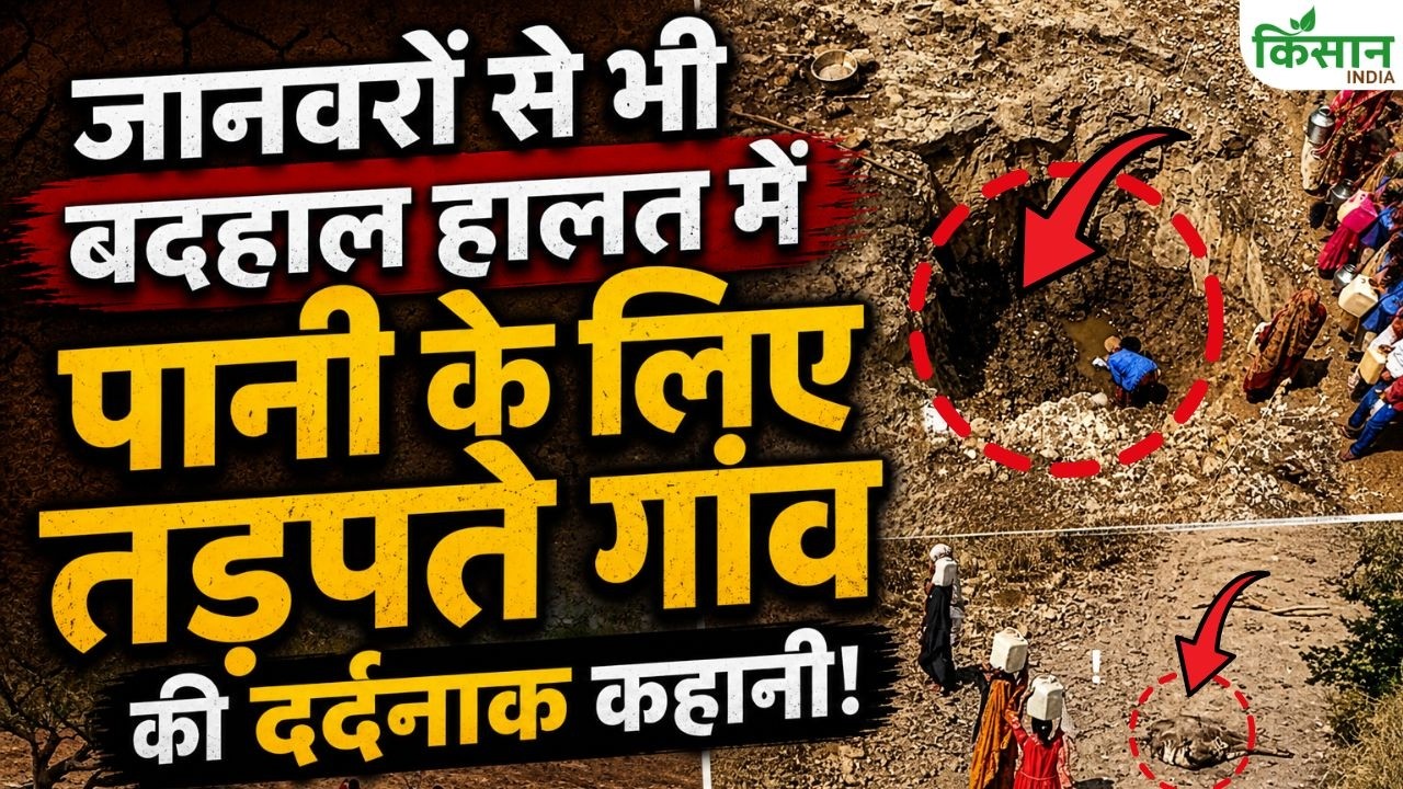 सूखे नल, खाली बर्तन, प्यास से बिलखते बच्चे, भीषण गर्मी में पानी के लिए तड़पते गांव का भयावह वीडियो