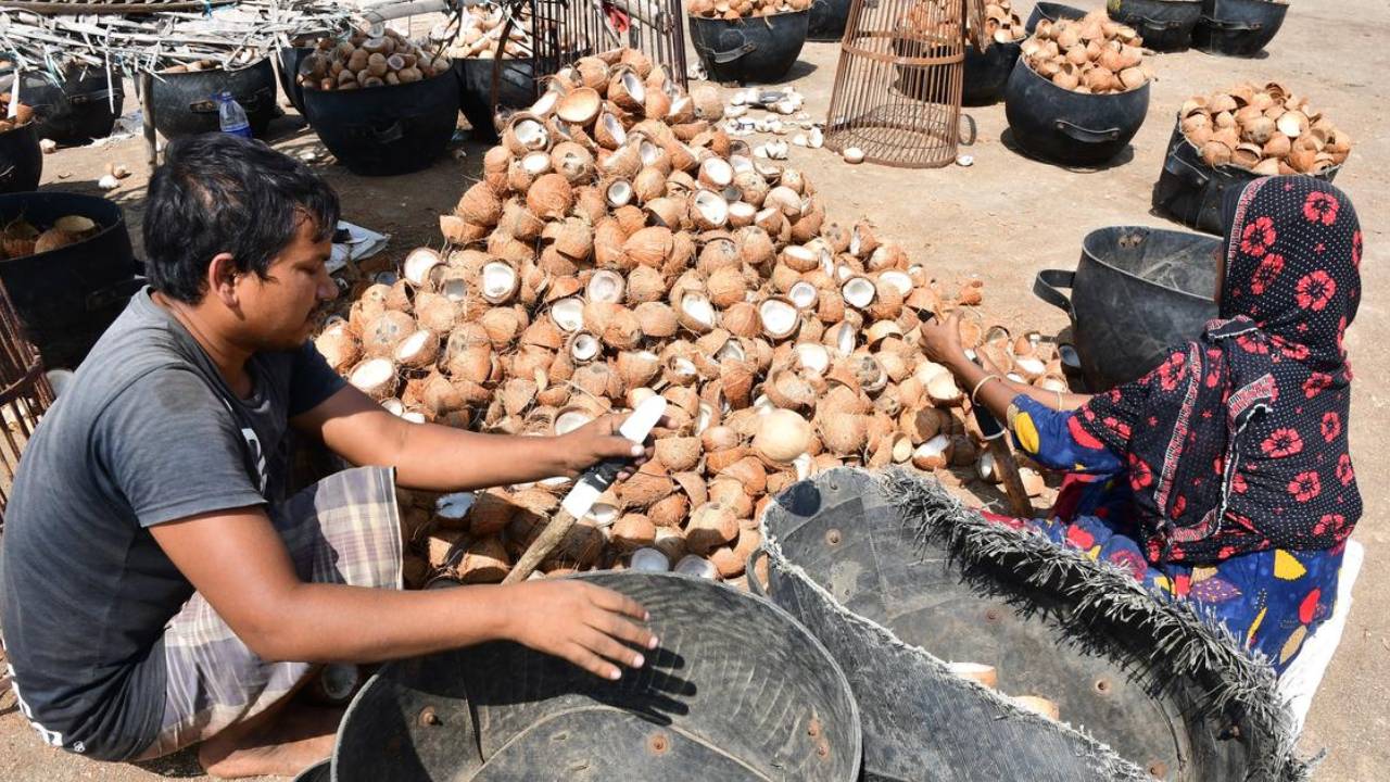 नारियल तेल और खोपरा की कीमतों में बड़ी गिरावट, किसानों की बढ़ी चिंता, बाजार में क्यों आई मंदी?