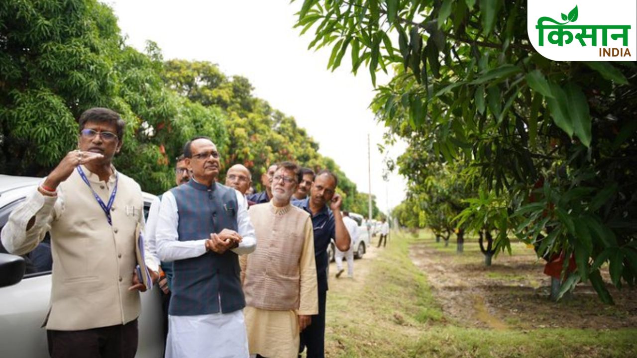 एक पेड़ में 234 वैरायटी के आम देख अचंभे में पड़े शिवराज सिंह चौहान, बोले- विचित्र है पर सत्य है