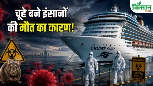 क्रूज शिप पर फैला हंता वायरस, 3 मौतों से बढ़ी दुनिया की चिंता.. जानें कितना खतरनाक है ये संक्रमण क्रूज शिप पर फैला हंता वायरस, 3 मौतों से बढ़ी दुनिया की चिंता.. जानें कितना खतरनाक है ये संक्रमण