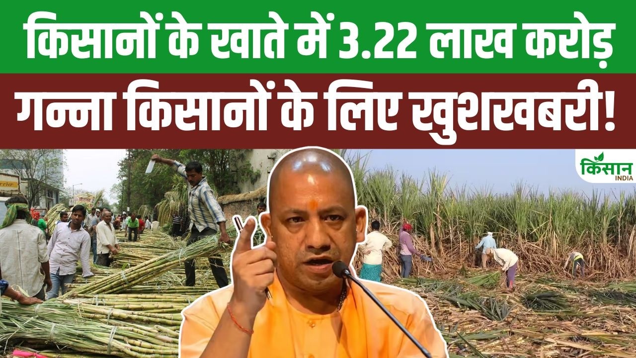 उत्तर प्रदेश के गन्ना किसानों की हुई चांदी! 3.22 लाख करोड़ भुगतान ने बनाया देशभर में नया रिकॉर्ड