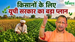 Kharif 2026: किसानों के लिए योगी सरकार का बड़ा प्लान, 302 लाख टन उत्पादन का टारगेट Kharif 2026: किसानों के लिए योगी सरकार का बड़ा प्लान, 302 लाख टन उत्पादन का टारगेट