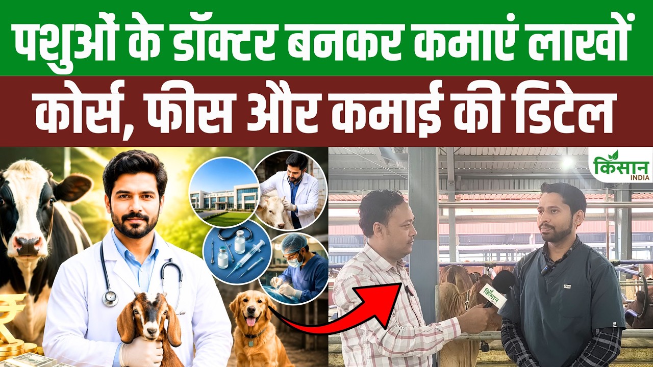 Animal Gynecologist बनने का सपना? जानिए कौन-सा कोर्स, कितनी फीस और हर महीने कितनी होगी कमाई