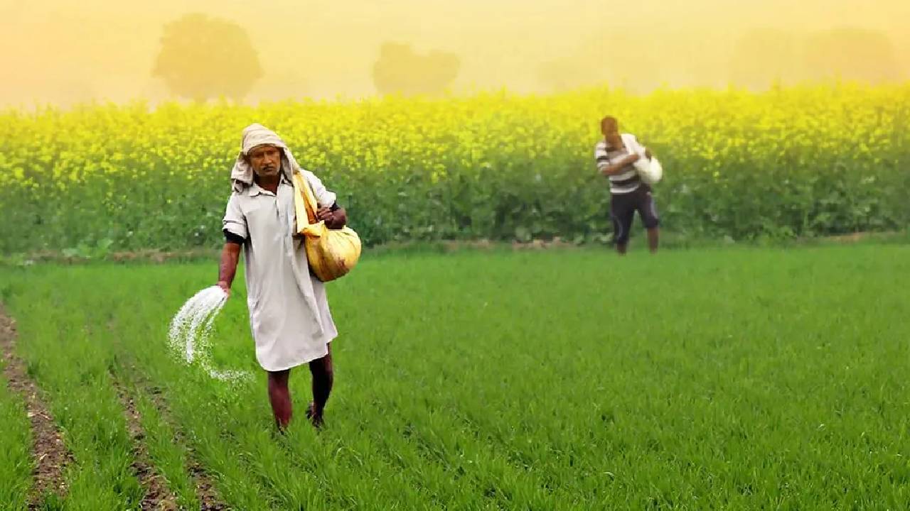 खरीफ के लिए खाद भरपूर, लेकिन रबी सीजन को लेकर बढ़ी चिंता… राज्यों को केंद्र की चेतावनी