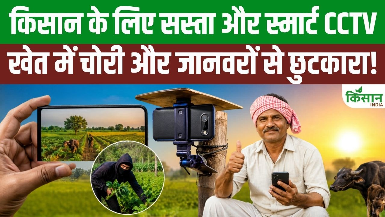 किसानों के लिए देसी जुगाड़ वाला Smart CCTV, अब सस्ते खर्च में दिनरात करेगा खेत की रखवाली