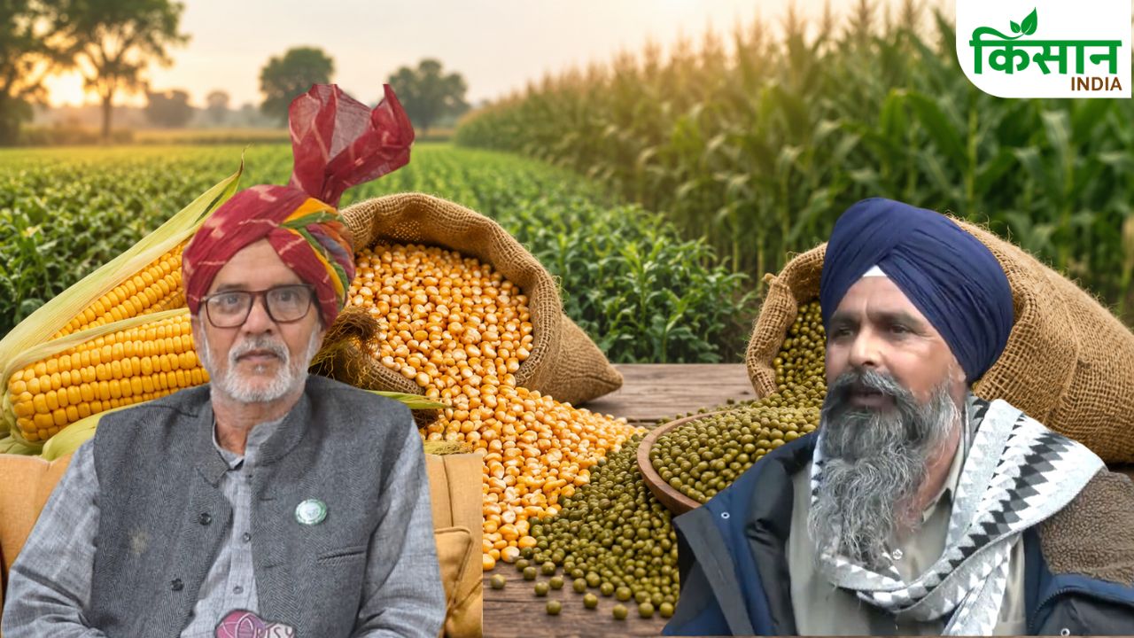 MSP बढ़ोतरी को किसानों ने बताया धोखा, बढ़ती लागत के बीच सरकार पर उठे सवाल