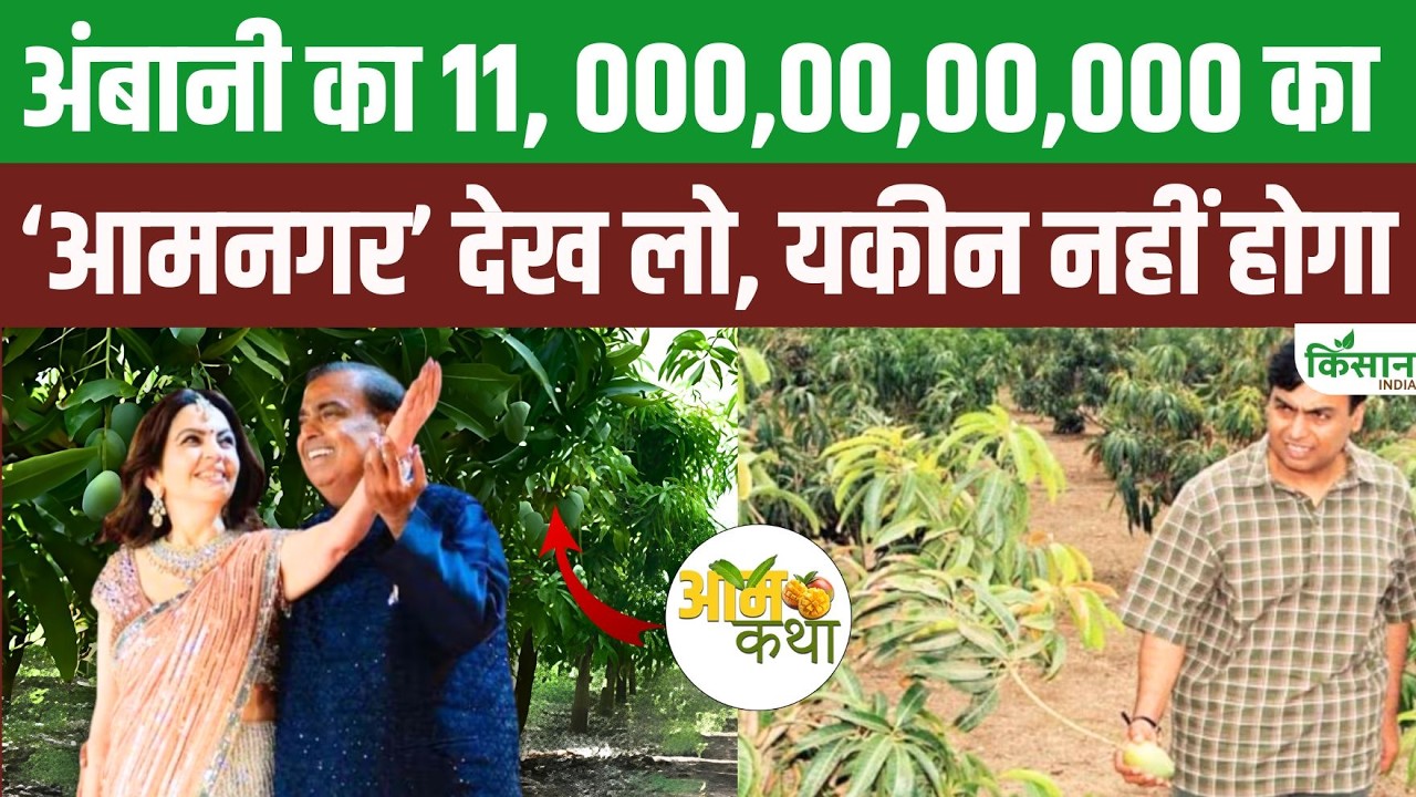अंबानी का करोड़ों नहीं अरबों का मैंगो एम्पायर, इस शाही बाग में पेड़ों की गिनती करना भी मुश्किल