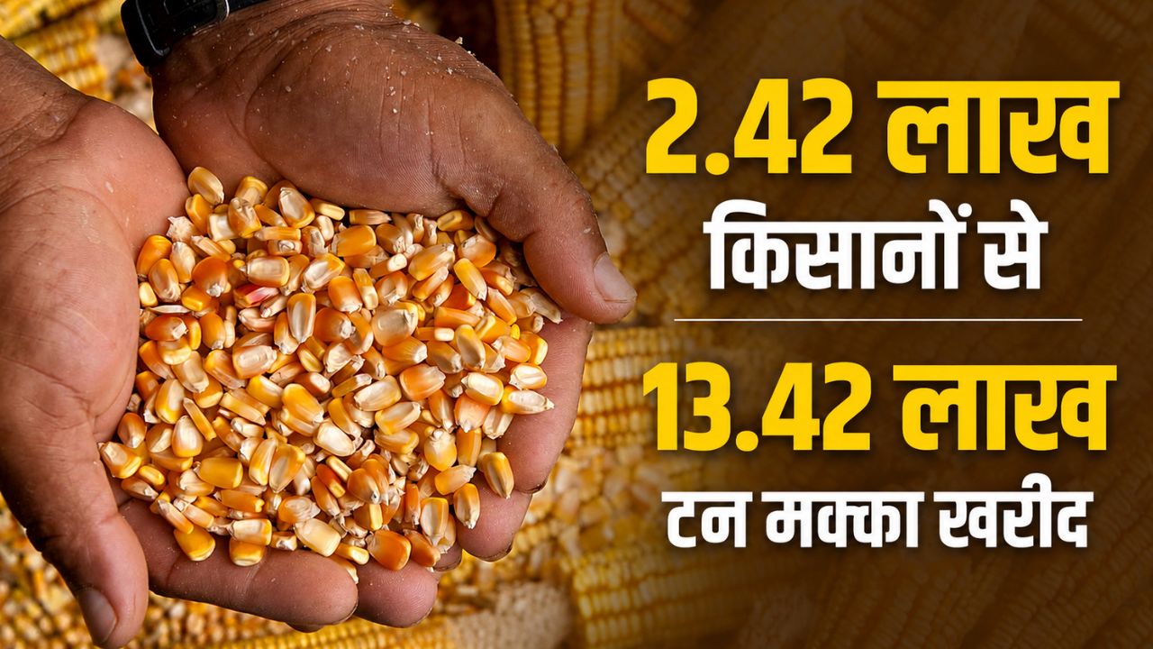 किसानों को बड़ी राहत, सरकार ने जारी किए 1173 करोड़.. एक लाख खातों में पहुंचेगी राशि