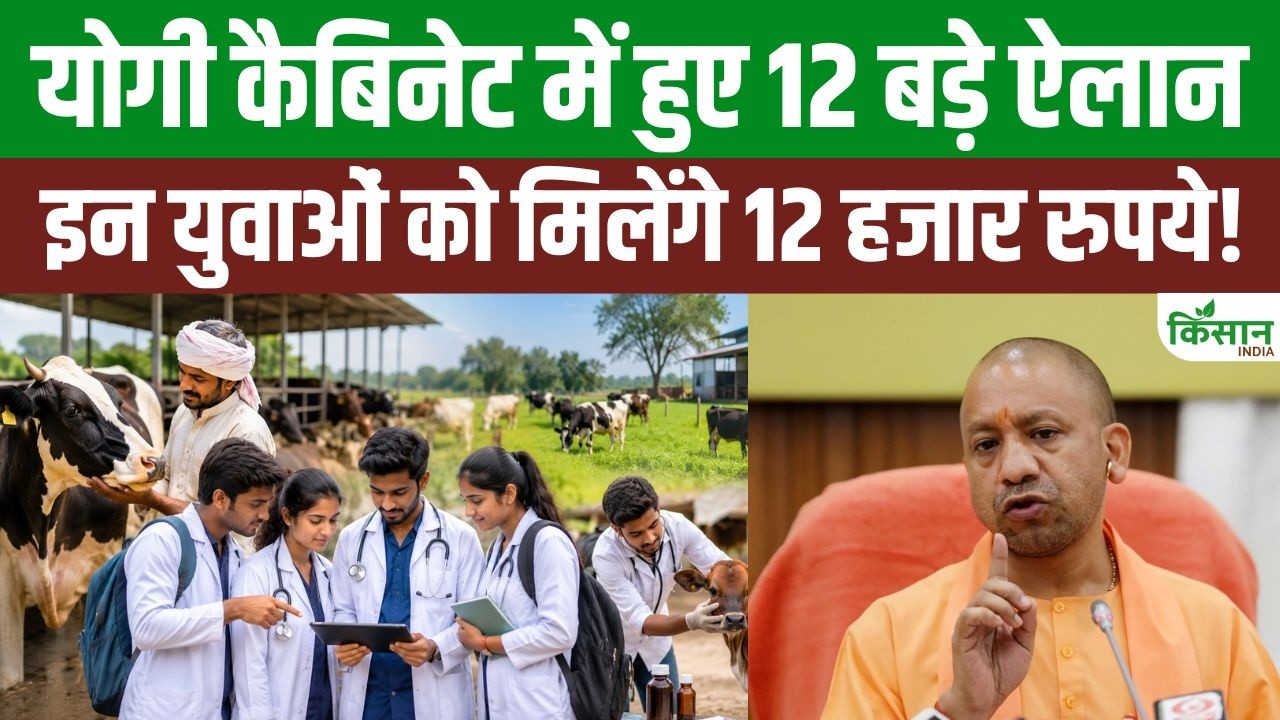 योगी कैबिनेट के 12 बड़े फैसले, युवाओं को मिलेंगे 12 हजार रुपये और पशुपालकों को बड़ी राहत