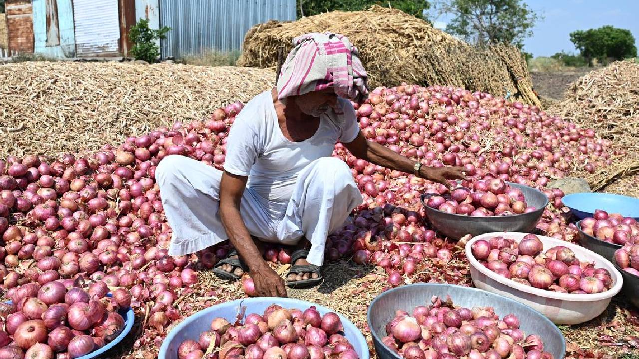 महाराष्ट्र में प्याज की कीमतों को लेकर फिर बढ़ा विवाद, किसान बोले- सरकार ने हमें घाटे में धकेला