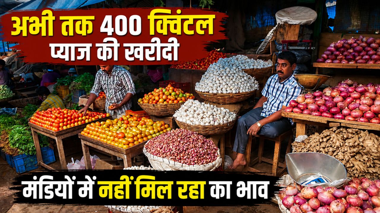 सरकार की कोशिश बेअसर, लासलगांव मंडी में 800 रुपये क्विंटल प्याज.. किसान परेशान