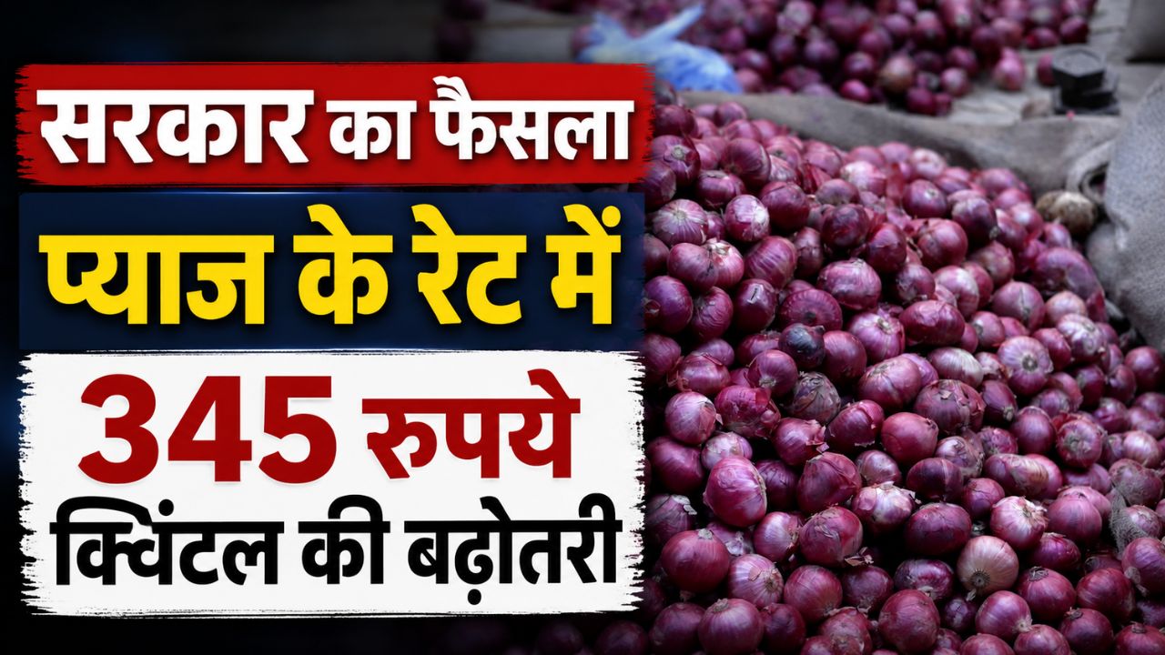 किसानों को राहत, सरकार ने बढ़ाया प्याज का MSP.. अब 1580 रुपये क्विंटल होगी खरीदी
