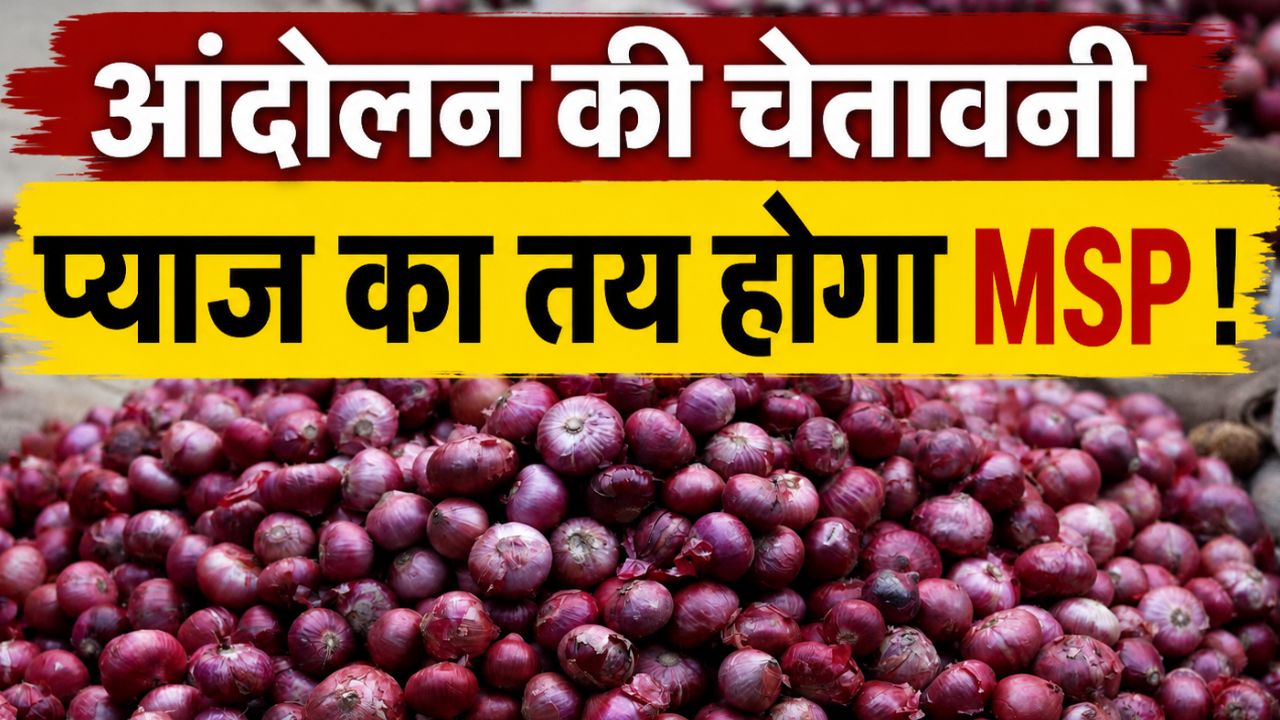 प्याज के रेट में गिरावट, 20 बोरी बेचने पर किसान को मिले केवल 519 रुपये.. सब्सिडी की उठी मांग