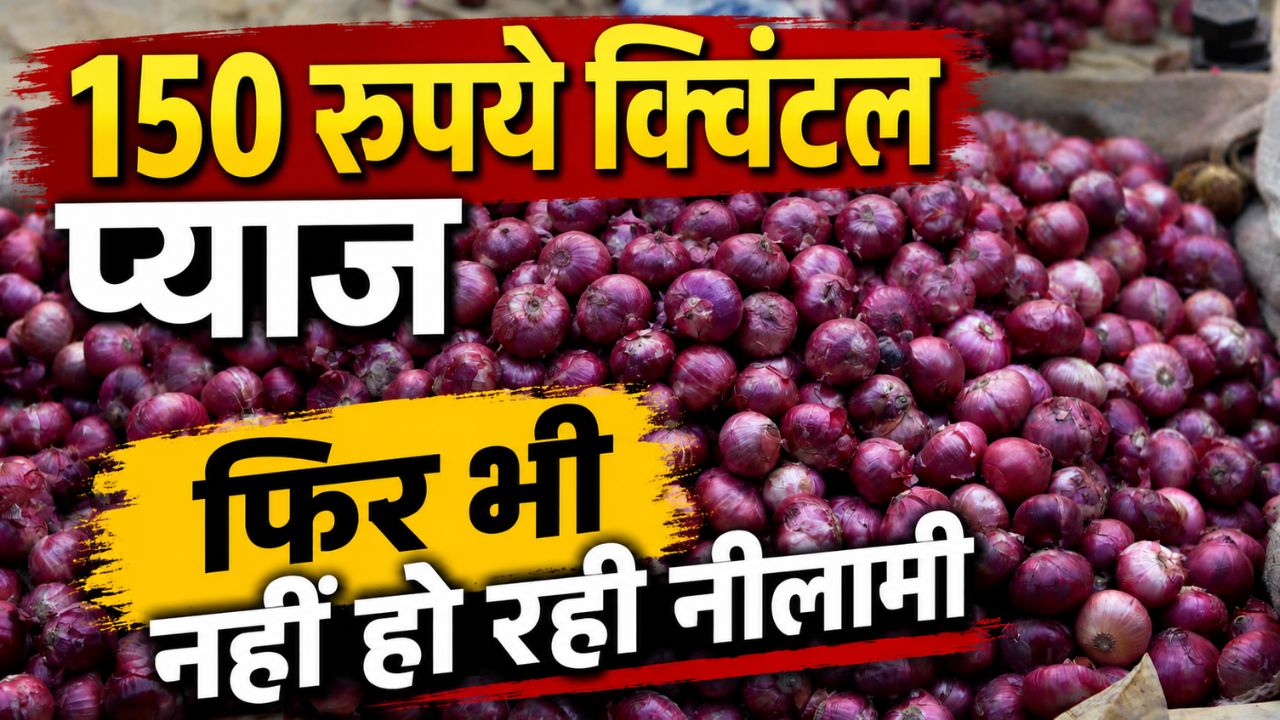 अन्नदाता में आक्रोश, मंडी के बाहर फेंका 2500 किलो प्याज.. इस वजह से बढ़ी नाराजगी