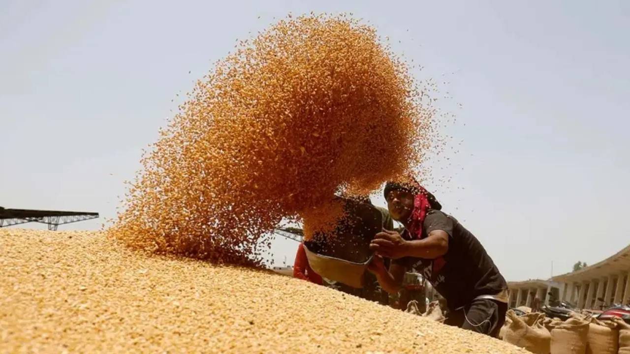 देश में चावल की बंपर खरीद, 5 करोड़ टन के करीब पहुंचा आंकड़ा… कई राज्यों में रिकॉर्ड उछाल