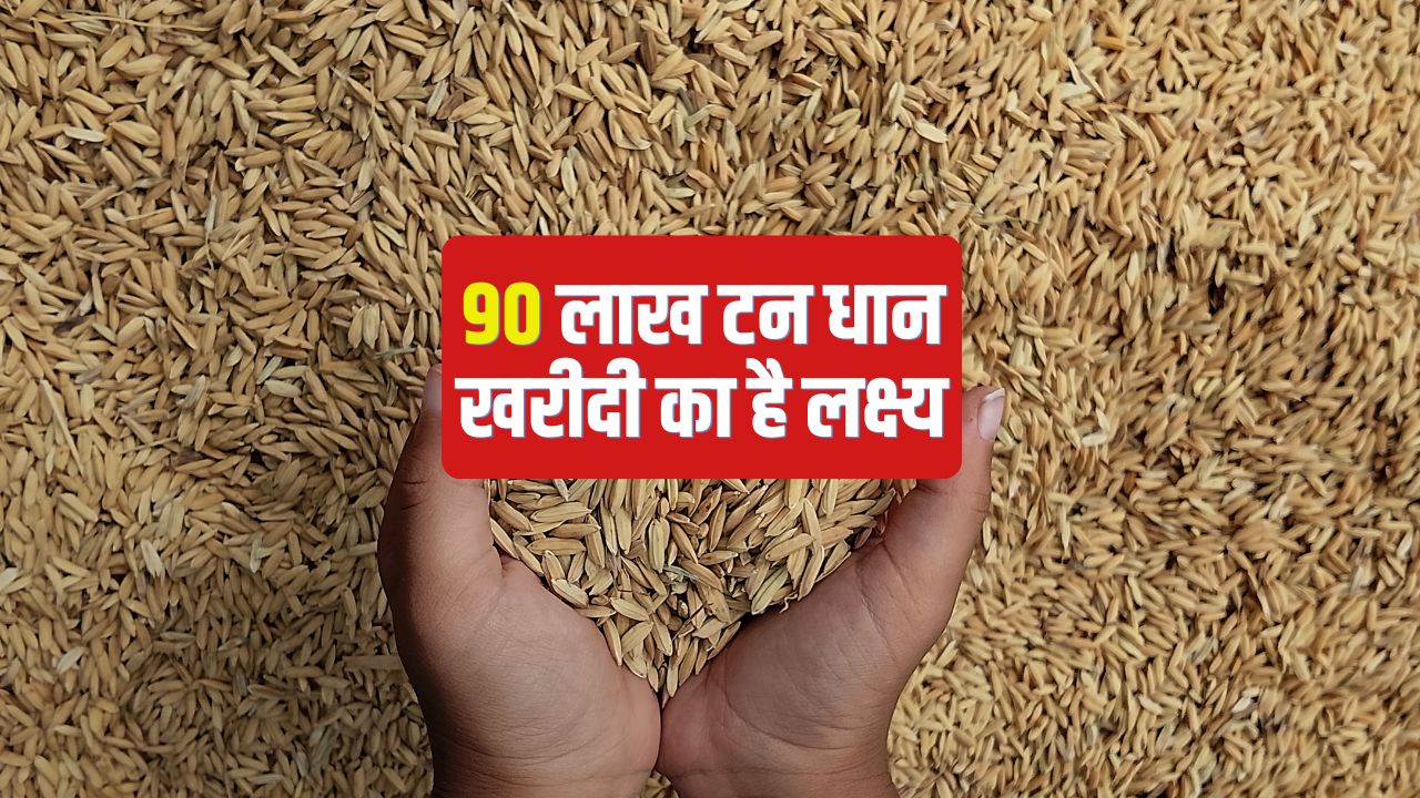 तेलंगाना में 8 लाख टन से अधिक धान की खरीदी, किसानों के खातों में पहुंचे 323 करोड़