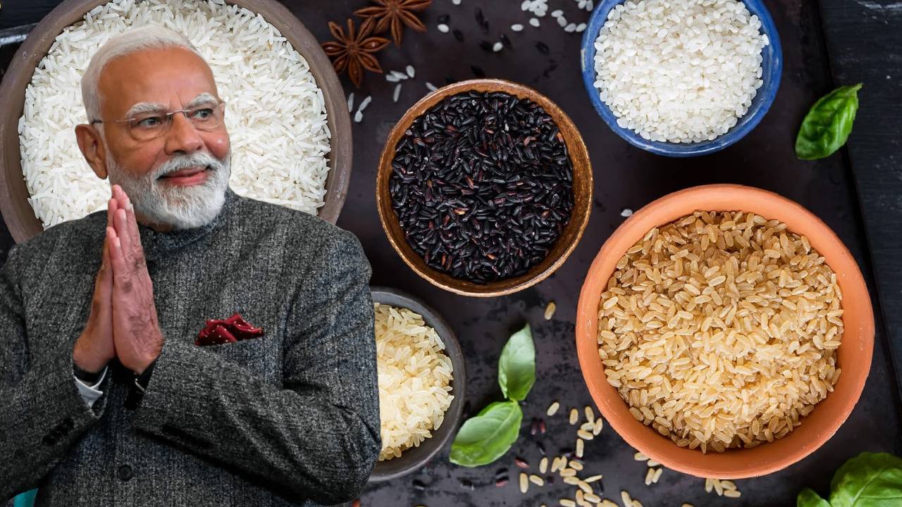 मोदी के खास गिफ्ट में दिखी भारत की मिट्टी की खुशबू, बासमती से मिलेट तक दुनिया हुई प्रभावित