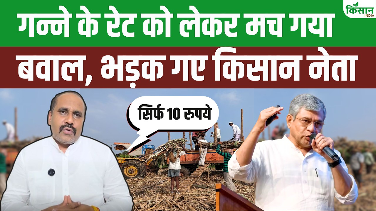 Sugarcane Price Hike: गन्ने के रेट बढ़ने के बाद भड़के Dharmendra Malik, जानें किसानों से क्या कहा?