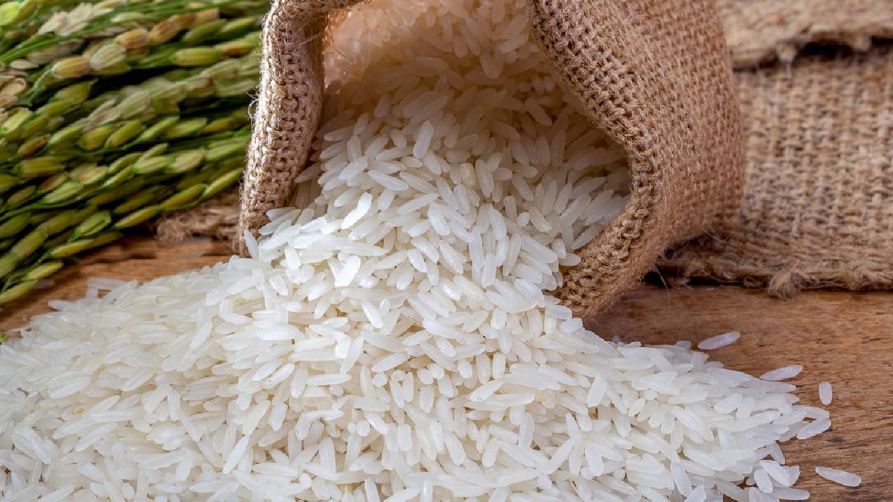 ईरान युद्ध का असर भारत के चावल कारोबार पर, बासमती निर्यात में आई भारी गिरावट