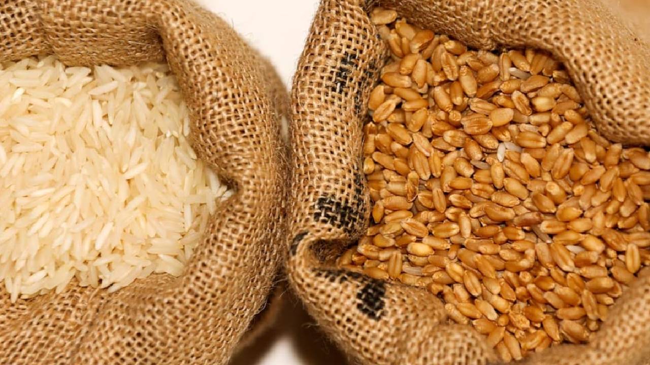 सरकारी गोदामों में अनाज का लगा अंबार, गेहूं-चावल का स्टॉक जरूरत से तीन गुना पहुंचा